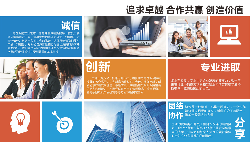 威格斯電氣企業(yè)文化